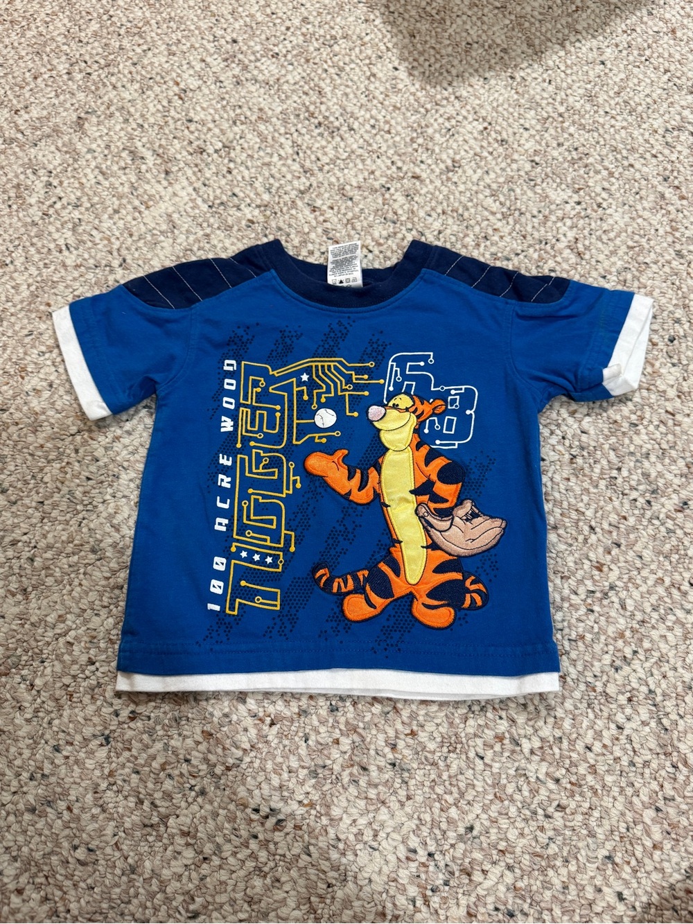 Disney Tigger Graphic Blue Short-Sleeve Tee with White Trim